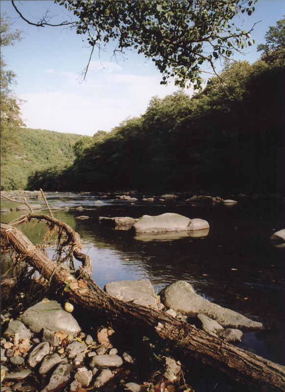 Dyje